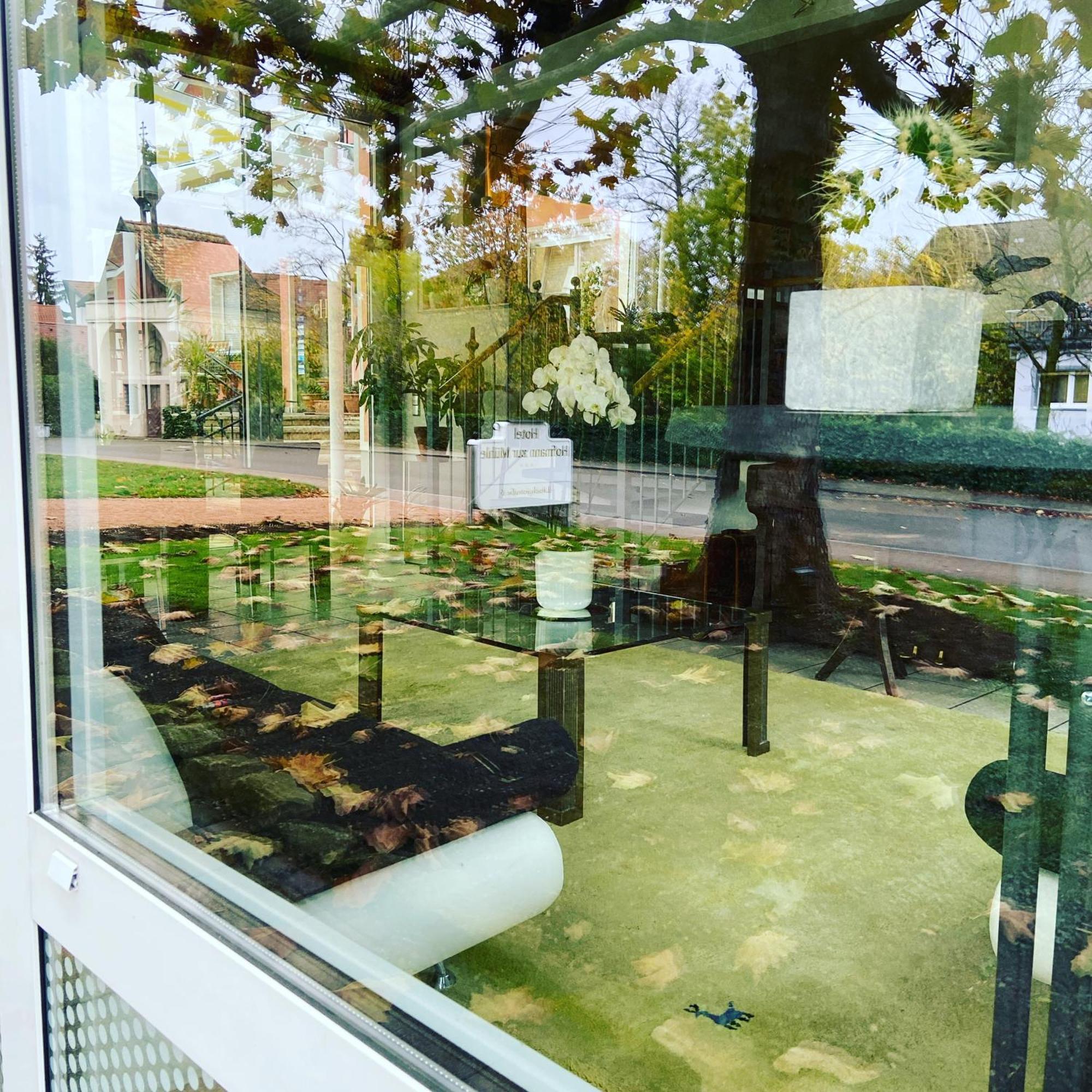 Hotel Hofmann Zur Muehle Bad Krozingen Extérieur photo